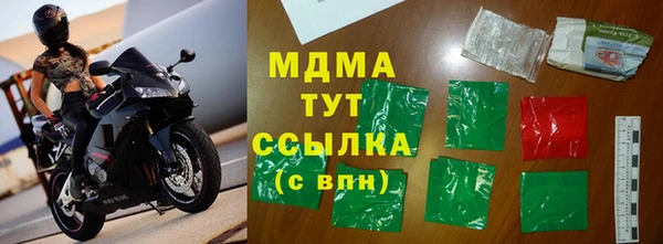 прущие грибы Рославль