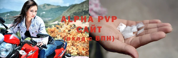 прущие грибы Рославль