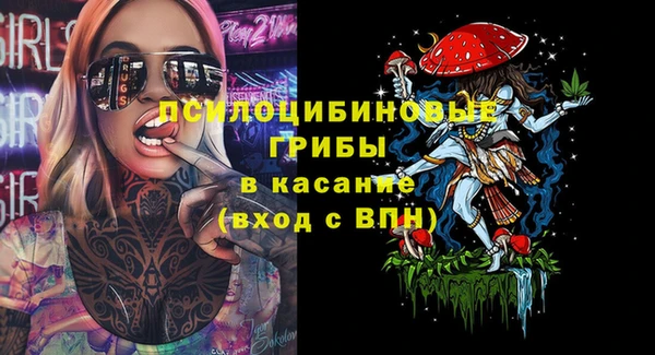 прущие грибы Рославль