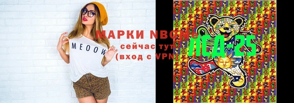 прущие грибы Рославль