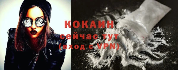 прущие грибы Рославль